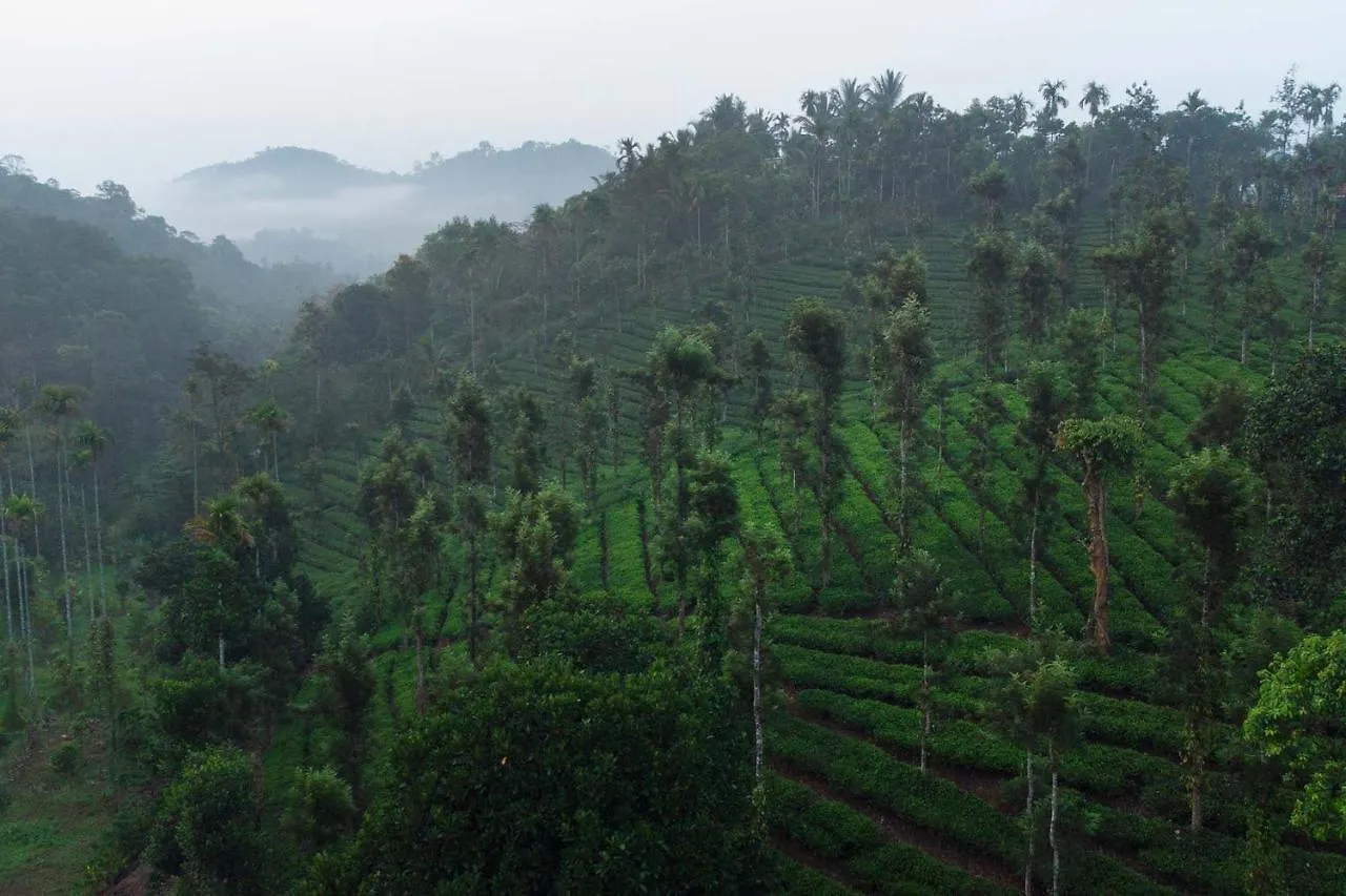 Regal Retreat By Veo - Part Of Stayvista Wayanad 0*,  India